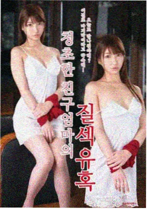 免费观看高清电视剧 间谍过家家